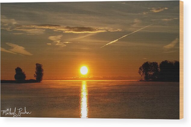 Sun Wood Print featuring the photograph Morning Sun by Michael Rucker