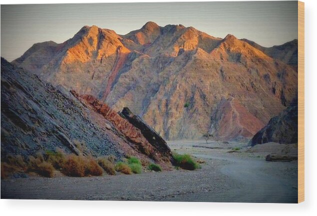 Mountains Wood Print featuring the photograph Mountains with copper color near Eilat by Rita Adams