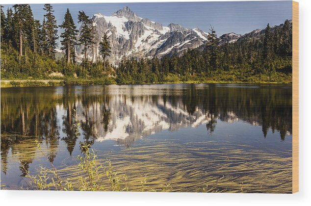 Mt Shuksan Wood Print featuring the photograph Mt Shuksan Reflection by Tony Locke
