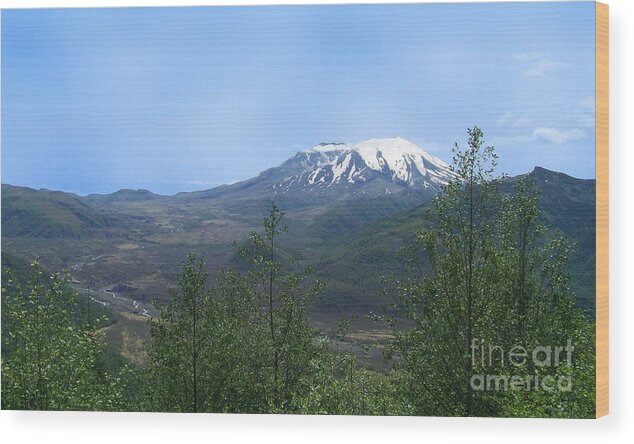 Mt St Helens Wood Print featuring the photograph Mt St Helens from Elk Rock by Charles Robinson