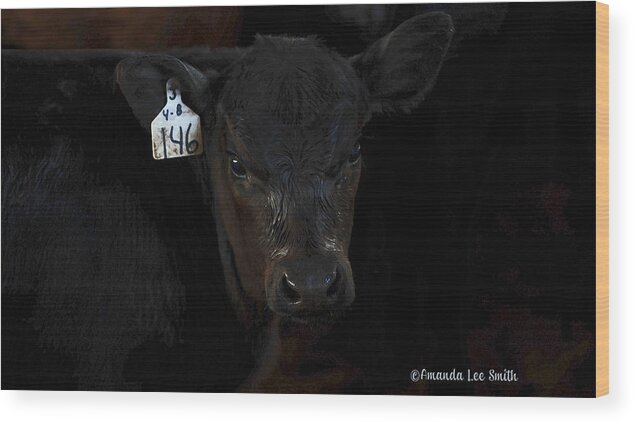 Calf Wood Print featuring the photograph Number 146 by Amanda Smith