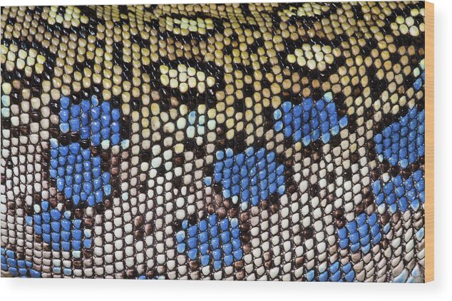 Reptile Wood Print featuring the photograph Ocellated Lizard Skin Pattern by Nigel Downer