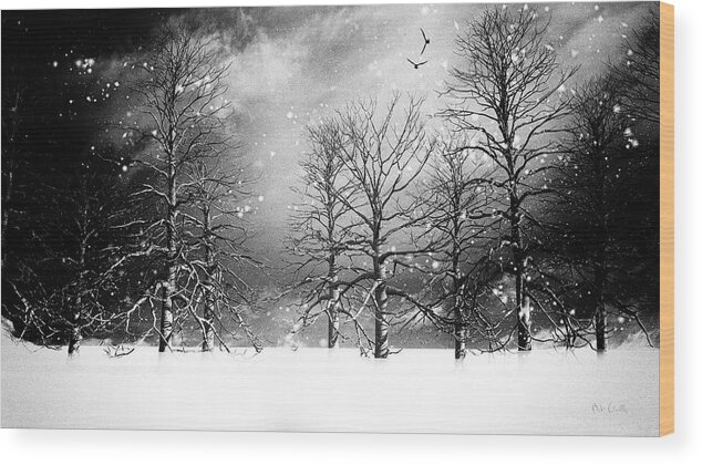 Winter Wood Print featuring the photograph One Night In November by Bob Orsillo