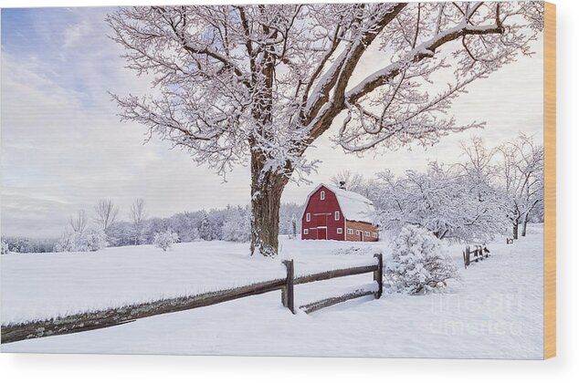 Etna Wood Print featuring the photograph One Winter Morning on the Farm by Edward Fielding