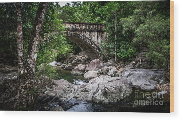 Waterfall. Waterfalls Wood Print featuring the photograph Paluma Arch Bridge by Perry Webster