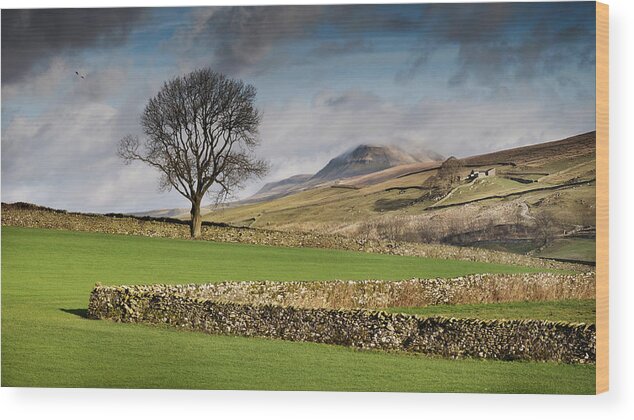 Tranquility Wood Print featuring the photograph Pen-y-ghent by Michael Honor