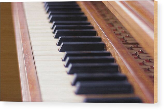 Landscape Wood Print featuring the photograph Piano Keys of Old by Morgan Carter