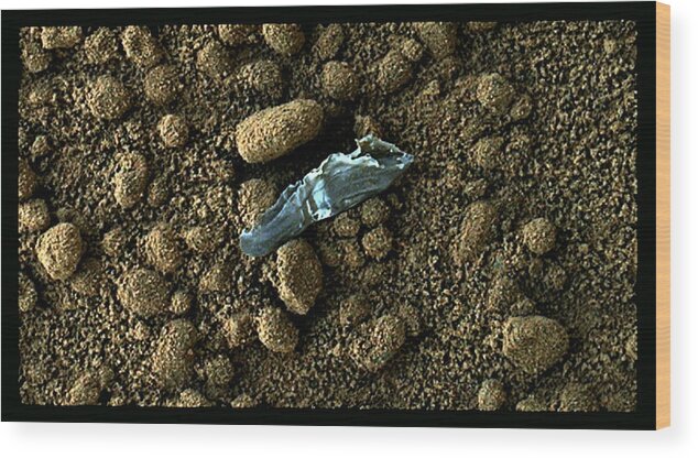 3d Wood Print featuring the photograph Plastic on Mars by Freyk John Geeris