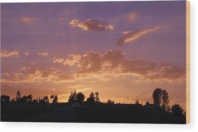 Linda Brody Wood Print featuring the photograph Purple Sky by Linda Brody