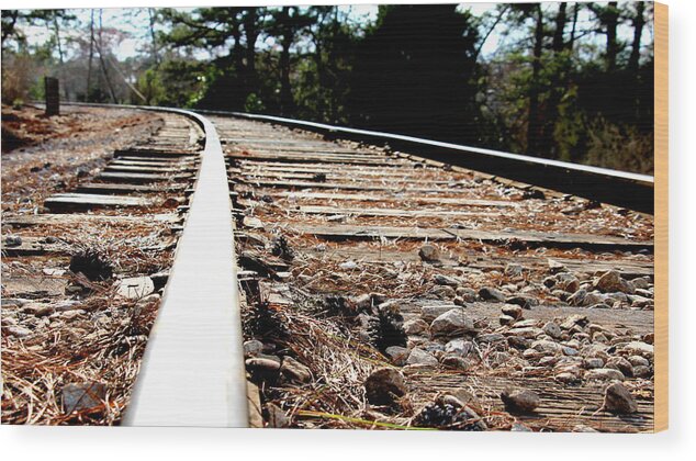 Rail Wood Print featuring the photograph Rail by Shawn MacMeekin