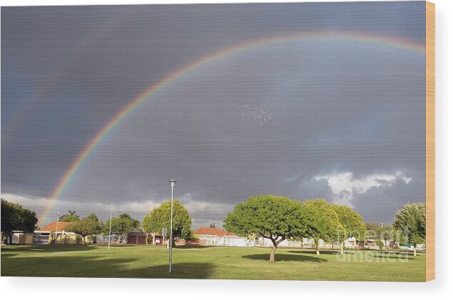 Rainbow Wood Print featuring the photograph Rainbow by Marietjie Du Toit