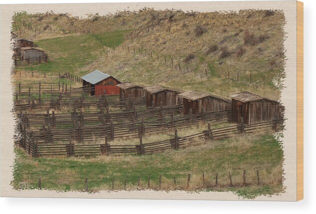 Old Fences Wood Print featuring the photograph Remount Depot - 2 by Kae Cheatham