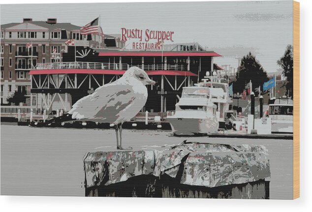 Rusty Scupper Restaurant Seagull Baltimore Waterside Dockside Boat Wood Print featuring the photograph Rusty Scupper Seagull by Alice Gipson