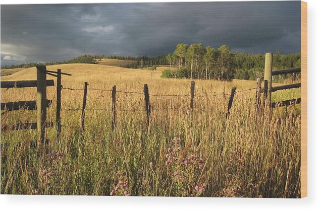 Okanagan Wood Print featuring the photograph Shining Highlands  by Kate Gibson Oswald