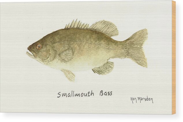 Smallmouth Bass Wood Print featuring the painting Smallmouth Bass by Ken Marsden