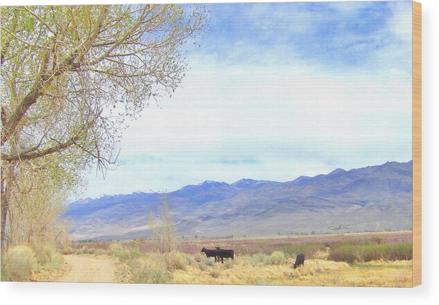 Sky Wood Print featuring the photograph Spring in Owens Valley by Marilyn Diaz