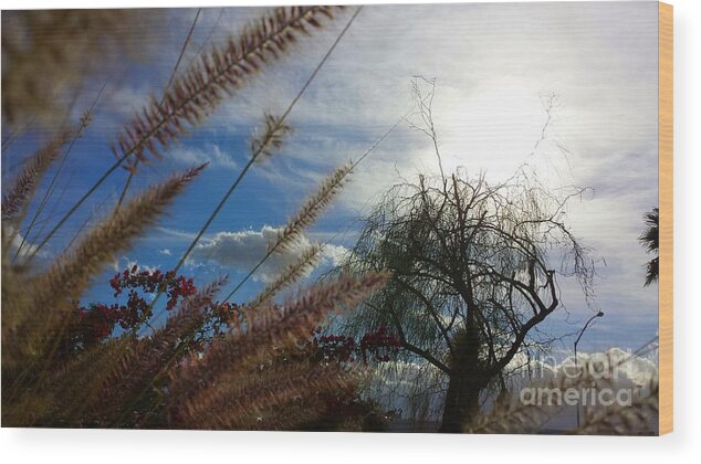 Art Wood Print featuring the photograph Spring in the Air by Chris Tarpening