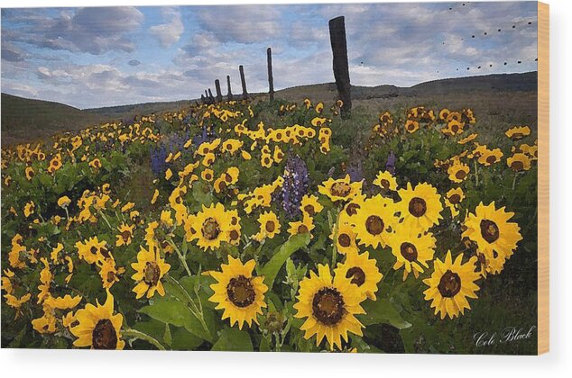  Bee Wood Print featuring the painting Sunflower Field by Cole Black