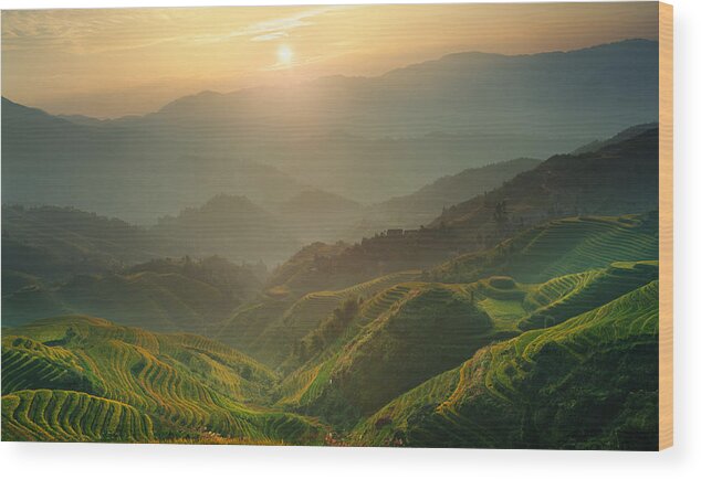 Guangxi Wood Print featuring the photograph Sunrise at Terrace in Guangxi China 7 by Afrison Ma