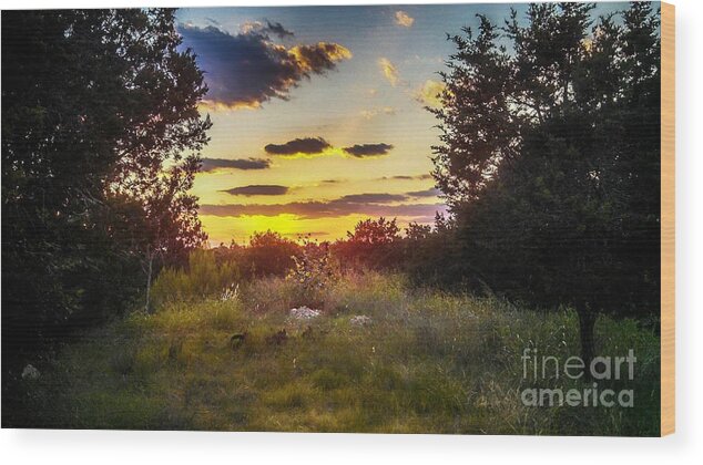 Sunset In Field Of Wildflowers Wood Print featuring the photograph Sunset Over Field of Flowers by Peggy Franz