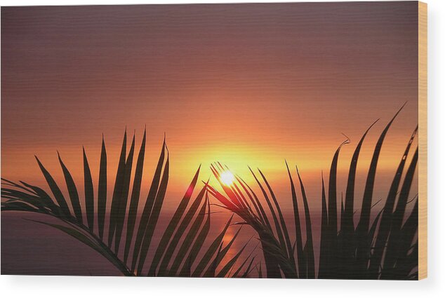 Palms Wood Print featuring the photograph Sunset Palms by Karen Nicholson