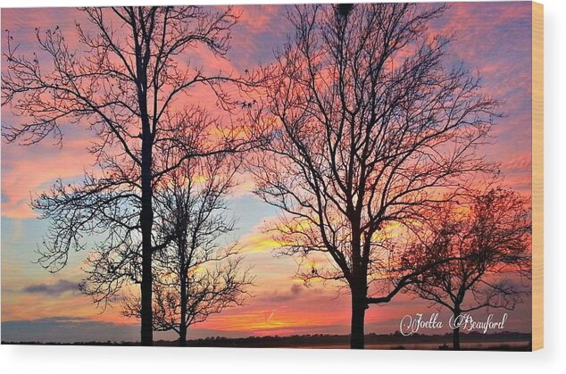Sunset Wood Print featuring the photograph Sunset Shadow by Joetta Beauford