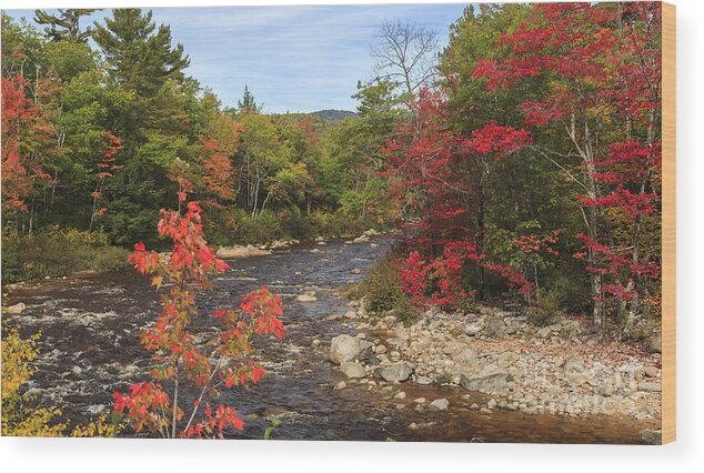 Swift River Wood Print featuring the photograph Swift River fall foliage White Mountains New Hampshire by Ken Brown