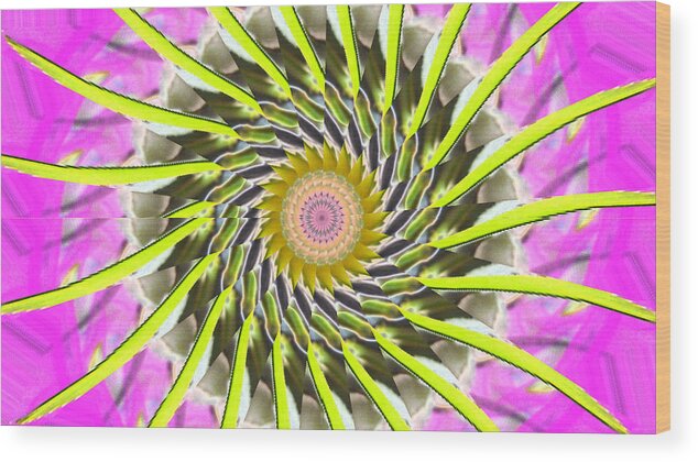 Swirl Wood Print featuring the digital art Swirl by Bobbie Barth