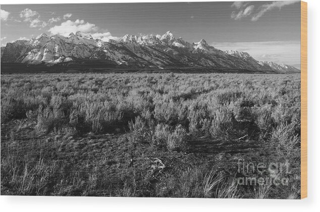 Tetons Wood Print featuring the photograph Tetons in Black and White by Edward R Wisell