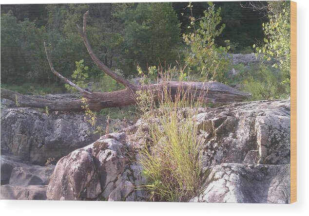 Landscape Wood Print featuring the photograph The Fallen by Kiara Reynolds
