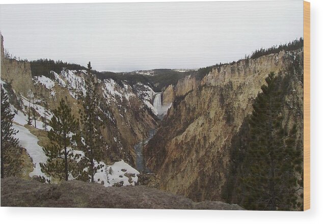 Yellowstone 2009 Wood Print featuring the photograph The Falls at Yellowstone Park by Kenneth Cole
