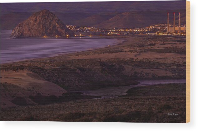 Central Coast Wood Print featuring the photograph The Guardian--- Morro Bay by Tim Bryan