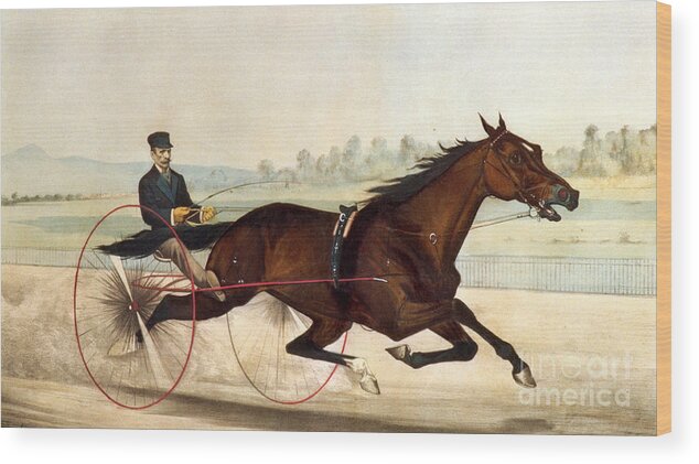 The King Of The Turf Wood Print featuring the painting The King of the Turf by Currier And Ives