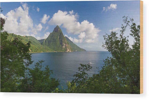 Landscape Wood Print featuring the photograph The Piton by Ferry Zievinger
