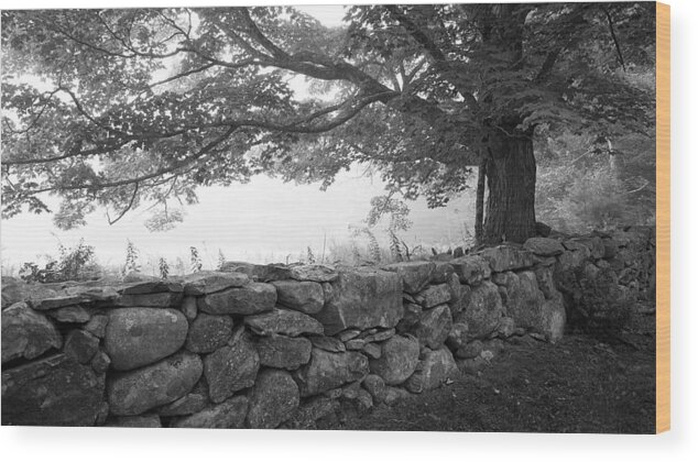 Maine Wood Print featuring the photograph The Walls of Woodlawn by Patrick Downey