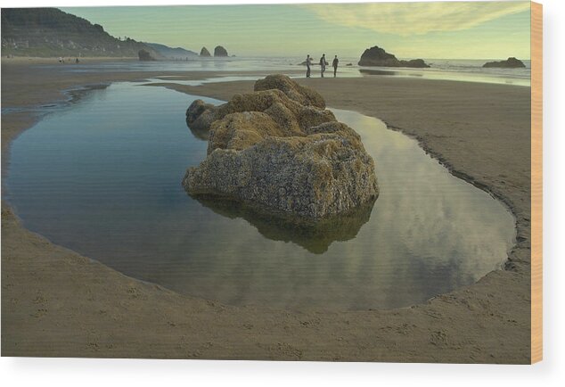 Landscape Wood Print featuring the photograph Tidepool Monolith by Arthur Fix