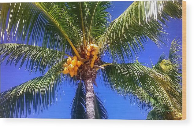 Duane Mccullough Wood Print featuring the photograph Tropical Palm Trees 7 by Duane McCullough