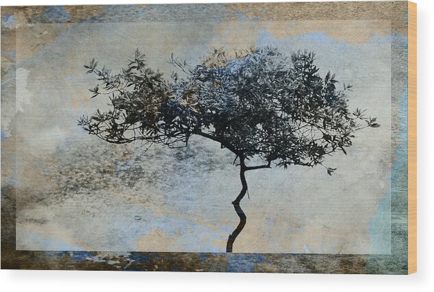 Tree Wood Print featuring the digital art Twisted Tree by David Ridley