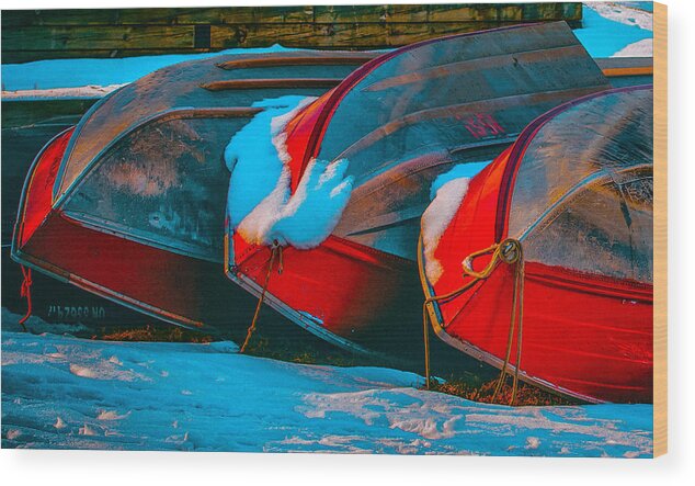 Boat Wood Print featuring the photograph Until Spring by James Canning
