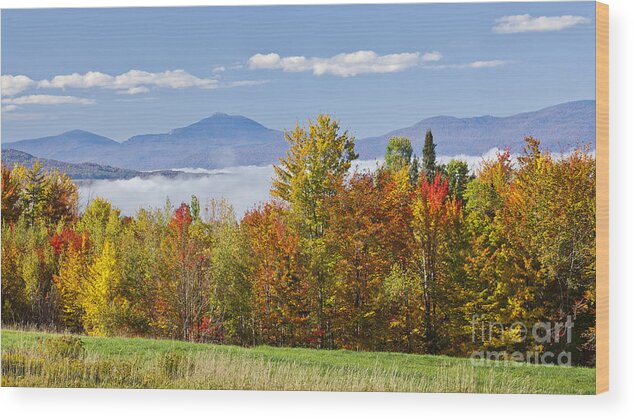 Fall Wood Print featuring the photograph Vermont October Morning by Alan L Graham