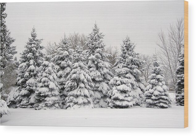 Trees Wood Print featuring the photograph Winter Copse by Wesley Elsberry