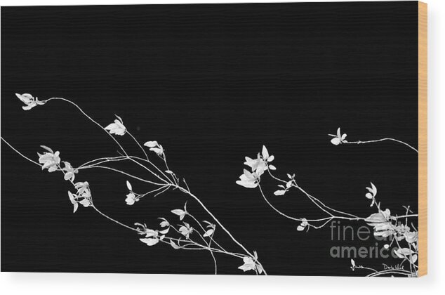 Wisp Wood Print featuring the photograph Wisp by Darla Wood