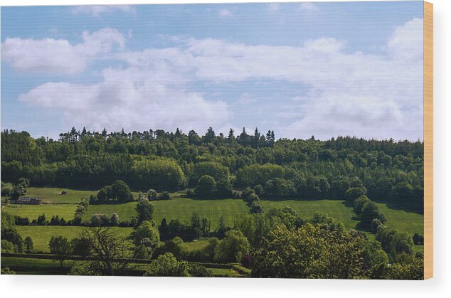 Tranquility Wood Print featuring the photograph Woodlands, Hillside, Valley, Patchwork by Leverstock