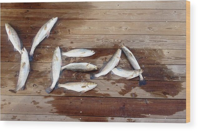 Trout Wood Print featuring the photograph Yea it's Trout for Dinner by Kristina Deane