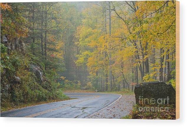 Yellow Wood Print featuring the photograph Yellow Fall Roadside Scenic by Ules Barnwell