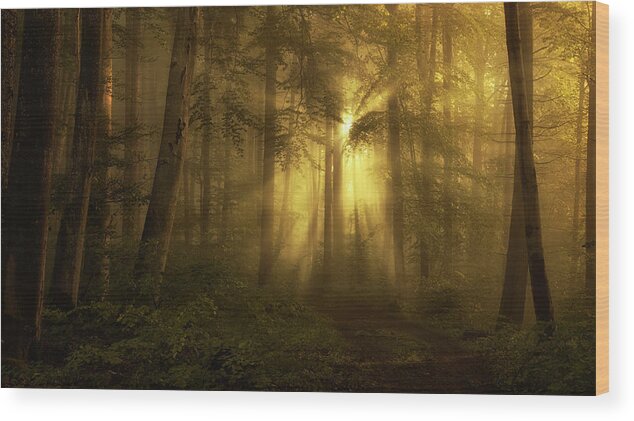 Atmosphere Wood Print featuring the photograph Yellow - The Bigger Picture by Norbert Maier