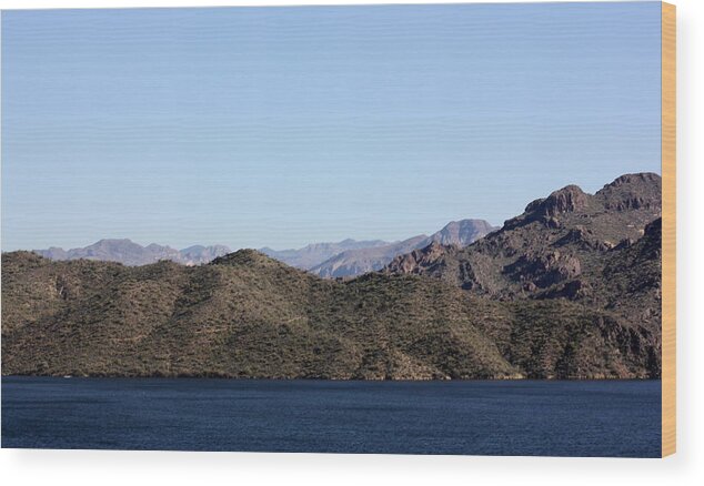 Sagouro Wood Print featuring the photograph Arizona Landscape by Kim Galluzzo Wozniak