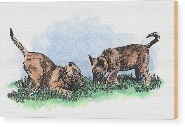 Belgian Malinois Wood Print featuring the painting Malinois Pups #1 by Patrice Clarkson