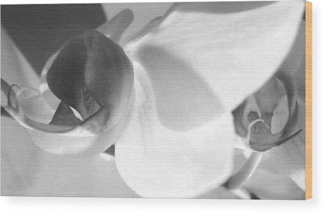 Orchid Wood Print featuring the photograph Orchid #2 by Kume Bryant