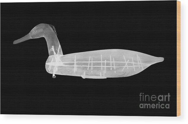 X-ray Wood Print featuring the photograph Wooden Duck Decoy #2 by Ted Kinsman